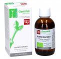 Biancospino - Gemmoderivato