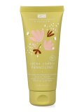 Crema Cambio Pannolino Bio Dinosauro Cracky