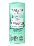 Deo Stick Eucalyptus + Peppermint