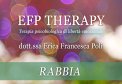 Video Corso - EFP Therapy - Rabbia — Digitale