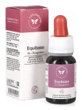 Equibase - Mix Basegemmo
