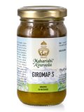 Giromap S