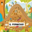 Il Formicaio — Libro