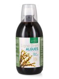 Ligne Dren - Algues