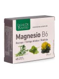 Magnesio B6 + Bacopa + Ginkgo Biloba + Rodiola - Capsule