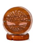 Mini Lampada di Sale Himalayano USB