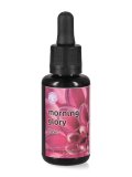Morning Glory - Fiori californiani - Dose