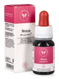 Noce - Basegemmo