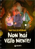 Non Hai Visto Niente — Libro