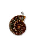 Pendente Spirale - Ammonite
