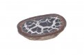 Pietra Geode Septaria