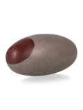 Pietra Shivalingam