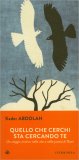 Quello che Cerchi Sta Cercando Te — Libro