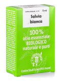 Salvia Bianca