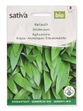 Semi di Erbe Aromatiche Aglio Orsino