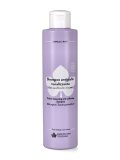 Shampoo Antigiallo Tonalizzante