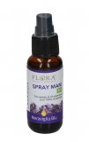 Spray Lavamani Bio Lavanda