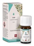 Sugi - Olio Essenziale