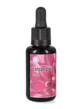 Tabacco - Fiori californiani - Dose