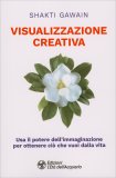 Visualizzazione Creativa — Libro
